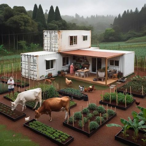 World's Best Shipping Container Projects | Living in a Container Unique Container Homes, Container House Design Floor Plans 40 Ft, Shipping Container Greenhouse, 40 Ft Container Home Floor Plans, Small Container House Design, Diy Shipping Container Homes, Tiny House Container, Shipping Container Tiny House, Container Farmhouse