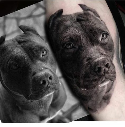 Pitbull Tattoo, Hourglass Tattoo, Tattoo Magazine, Tattoos Skull, Best Tattoos, Top Tattoos, Dog Tattoo, Dog Tattoos, Angel Tattoo Men