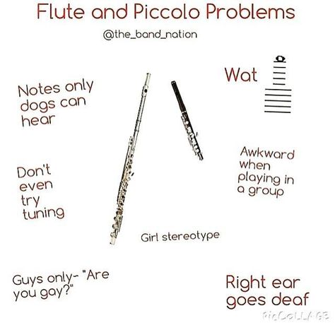 Flute and Piccolo Problems Flute Starter Pack, Flute Stereotypes, Flute Tips And Tricks, Funny Band Jokes Flutes, Things Only Flute Players Understand, Band Jokes Flute, Flute Memes Funny, Flute Tips, Flute Jokes