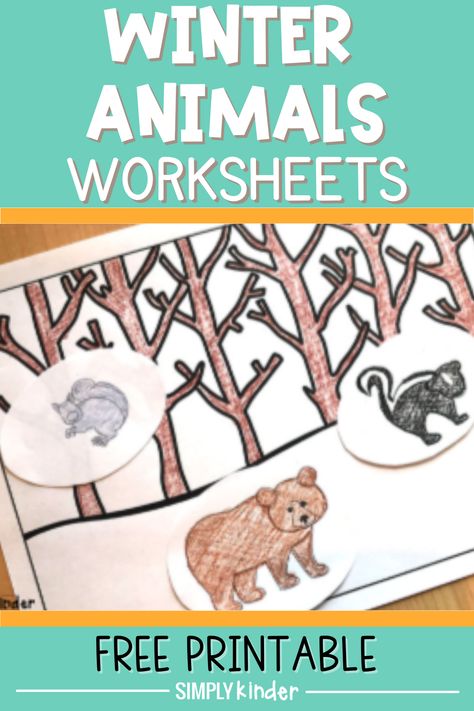 Brrrr! It’s winter and we’re learning about forest animals in the winter using this set of free worksheets! You can tie this in with a teddy bear picnic, hibernating animals, Groundhogs Day, or a simple winter learning unit. Grab your free printable here! Animals In Winter Activities, Animals In Winter Preschool, Animals That Hibernate, Winter Lesson Plan, Animal Worksheets, Diy Classroom, Teddy Bear Picnic, Winter Preschool, Animal Activities