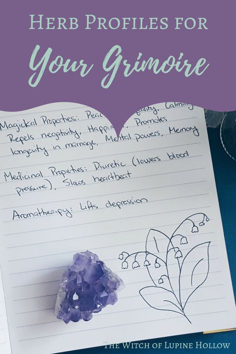 Herb Profiles for Your Grimoire + A Free Template | The Witch of Lupine Hollow Grimoire Template, Free Witchy Printables, Wicca Practice, Catholic Witch, Herbal Journal, Herbal Grimoire, Herbal Witch, Magickal Herbs, Bullet Journal Font