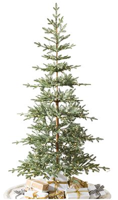 Alpine Fir Christmas Tree, Alpine Christmas Tree, Alpine Christmas, Alpine Tree, Ideas Navidad, Fir Christmas Tree, Live Tree, Balsam Hill, Balsam Fir