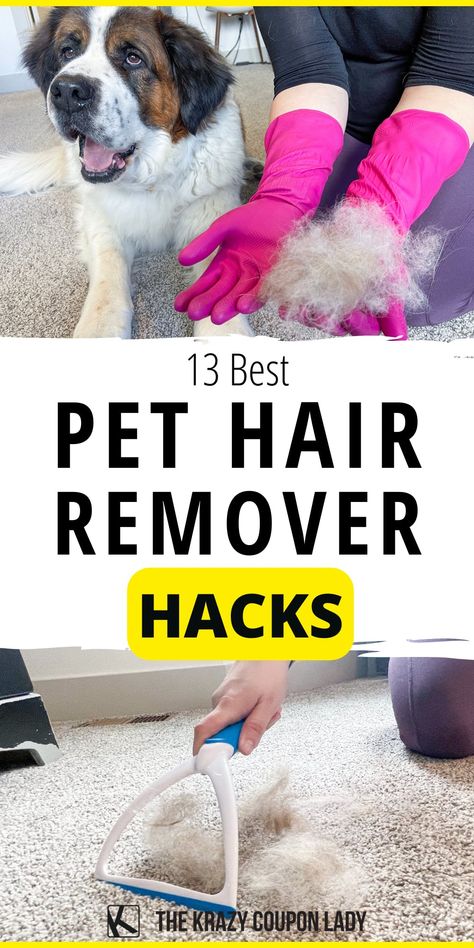 Hair Of The Dog, Hair Cleaning, Cleaning Painted Walls, Deep Cleaning Tips, Pet Hair Removal, The Krazy Coupon Lady, Pet Peeves, Krazy Coupon Lady, Pet Hacks