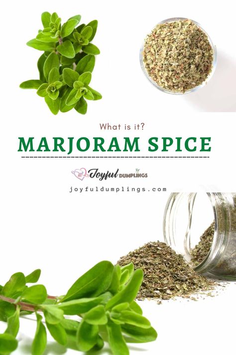 marjoram substitute Marjoram Benefits, Marjoram Recipes, Marjoram Substitute, Marjoram Plant, Irish Potato Bread, Amazing Food Decoration, Baking Basics, Potato Bread, Savory Dishes