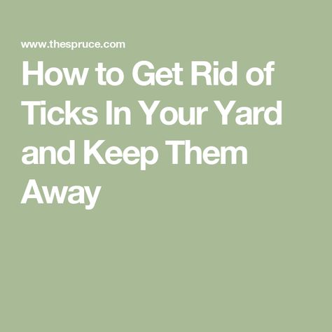 How to Get Rid of Ticks In Your Yard and Keep Them Away Tick Tubes, Snacks For Chickens, Wood Tick, Get Rid Of Ticks, Types Of Roofing Materials, Lawn Pests, Integrated Pest Management, Tick Repellent, How To Install Gutters