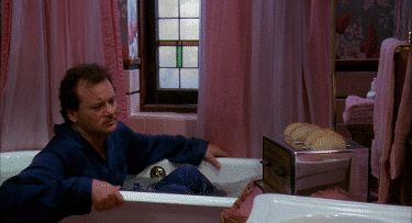 New trending GIF on Giphy Movie Jokes, Nyt Bestseller, Happy Groundhog Day, Hiking Gif, Blair Witch Project, Dog Day Afternoon, Most Pinned, Bill Murray, Comic Shop