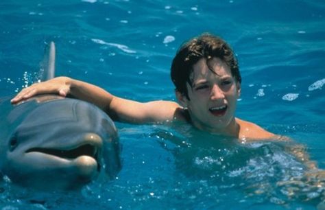 flipper Flipper Movie, 90s Kids Movies, Turner And Hooch, George Of The Jungle, Gandalf The Grey, Elijah Wood, Summer Movie, The Prisoner Of Azkaban, Night At The Museum