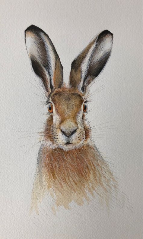 #hare #harewatercolour #wildlife #wildlifeartist #animalartistry #animallovers #watercolor watercolour painting Arizona Wildlife, Hare Watercolour, March Ideas, Cycle Art, Dad Drawing, Tiny Art, Rabbit Painting, Wildlife Artists, Cycling Art