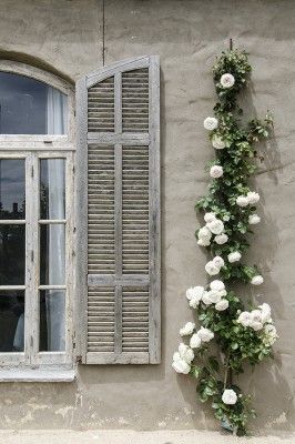 The Timber and Stone Retreat Country Shutters, Rose Arbor, Rose House, Rose Varieties, Mustang Cars, Climbing Roses, White Gardens, Window Boxes, French Country House