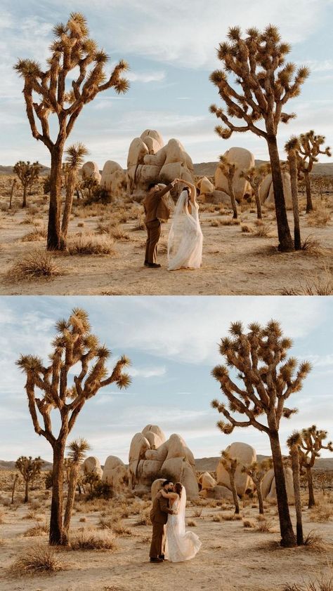 Tree Wedding Ceremony, Desert Photoshoot Ideas, Joshua Tree Engagement Photos, Joshua Tree Park, Joshua Tree Engagement, Joshua Tree Elopement, Joshua Tree Wedding, Wedding Adventure, Wedding California