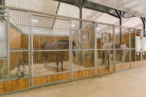 Horse Breeding Facility, Equestrian Facility Layout, Barn Stall Ideas, Horse Stall Ideas, Ranch Layout, Equine Barns, Barn Layout, Horse Paddock, Horse Farm Ideas