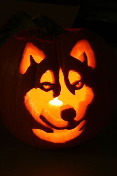 Husky Pumpkin template - in case ivan feels like carving his own pumpkin haha! but what would our sweet Pumpkin carve haha?? Nerd Pumpkin, Dog Pumpkin Carving, Pumpkin Carving Games, Autumn Hike, Pumpkin Carving Stencil, Halloween Pumpkin Stencils, Cute Pumpkin Carving, Autumn Photos, Pumkin Carving