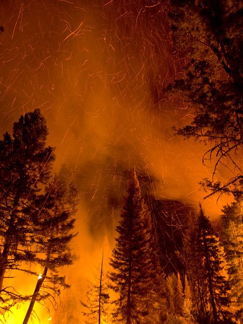 Burning Forest Aesthetic, Burning Forest, Idaho Boise, Burning Embers, Fire Tornado, Wildland Fire, Wildland Firefighter, Fire Image, Fire Photography