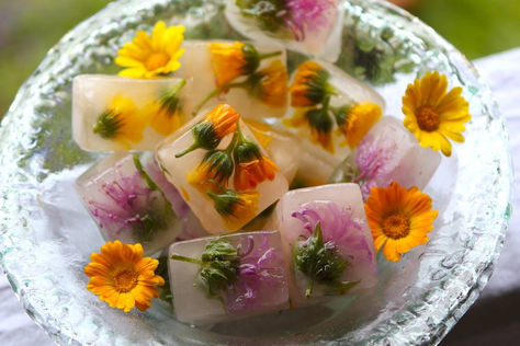 Beat the heat this summer with these stunning floral ice cubes. Loaded with beneficial herbs to help make the most of your sipping time! Learn more in our Online Herbal Immersion Program! Flower Ice Cubes, Floral Ice, Flower Ice, Summer Garden Party, Ice Cube Trays, Edible Flowers, Ice Cubes, Flower Child, Summer Garden