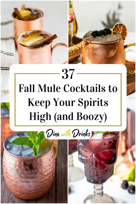 Collage of 4 fall mule cocktails. Different Moscow Mule Recipes, Autumn Moscow Mule, Autumn Mule Recipe, Fall Moscow Mule Drinks, Big Batch Moscow Mule Recipe, Fall Mules Cocktail, Halloween Mule Cocktail, Moscow Mule Flavors, Rum Mule Drink Recipes