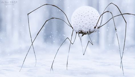 ArtStation - Snow Spider, Jia Hao Kunstjournal Inspiration, Snow Monster, Arte Alien, Creature Artwork, Alien Concept, Alien Concept Art, Creature Drawings, Monster Concept Art, Alien Creatures