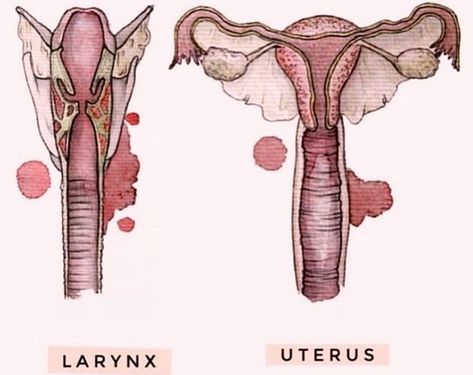 Did you know the jaw and pelvis are physiologically connected and the alignment and relaxation of each deeply affects each other. This connection can shift female body awareness . . . #postnatal #postpartum #bodyconnection #PostpartumFitness #postbirth #pregnancy #pelvicfloor #mummy #kegels #healthymummy Using Your Voice, Jaw Clenching, Use Your Voice, Pelvic Floor Dysfunction, All About Pregnancy, Pelvic Floor Exercises, Postnatal Workout, Vagus Nerve, Body Awareness