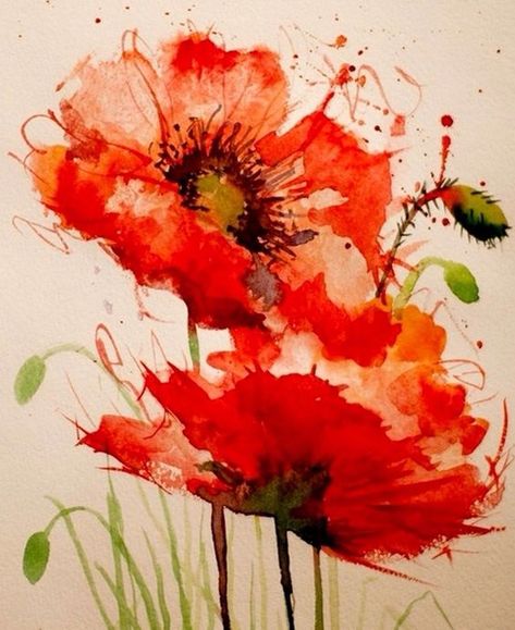 Paintings Tumblr, Watercolor Poppies, Poppy Painting, Watercolor Flower Art, 수채화 그림, Watercolor Flowers Paintings, Alcohol Ink Art, Flower Art Painting, Watercolor Cards