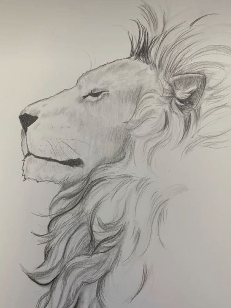 Lion Sketches Pencil, Animal Pencil Shading, Cat Drawing Shading, Animal Shading Drawing, Lion Side Profile Drawing, Drawing Ideas Lion, Lion Sketch Pencil, Lion Sketch Simple, Lion Drawing Pencil