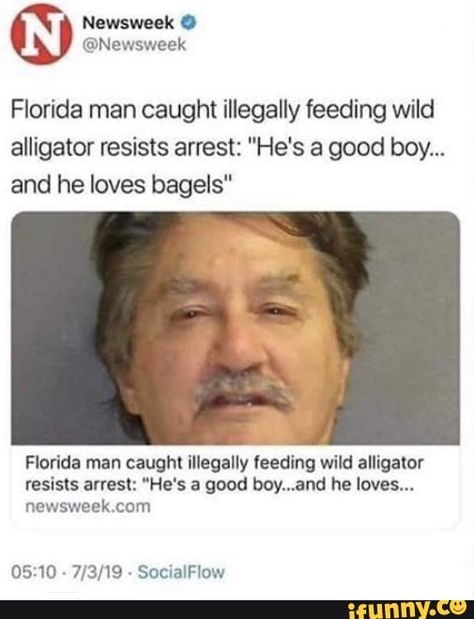 Funny Florida Man, Florida Man Funny, Florida Man Meme, Florida People, Florida Men, Florida Funny, Funny Headlines, Florida Man, Funny News