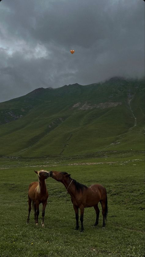 Horse And Mountain Wallpaper, Clidsdail Horse, Horse Iphone Wallpaper, Horse Wallpaper Aesthetic, Country Wallpaper Aesthetic, Horse Wallpaper Iphone, Wallpaper Horse Aesthetic, Horses Background, Horses Aesthetic