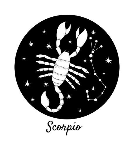 Scorpion Constellation, Scorpion Symbol, Zodiac Signs Colors, Constellation Scorpio, Zodiac Aesthetic, Signs Horoscope, Scorpio Zodiac Sign, Month Signs, November Birthday Gifts