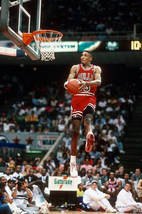 Boxer Breifs, Basketball Playoffs, Michael Jordan Pictures, Ball Basketball, Mens Boxer Briefs, Bulls Basketball, Michael Jordan Basketball, Scottie Pippen, Basketball Photography