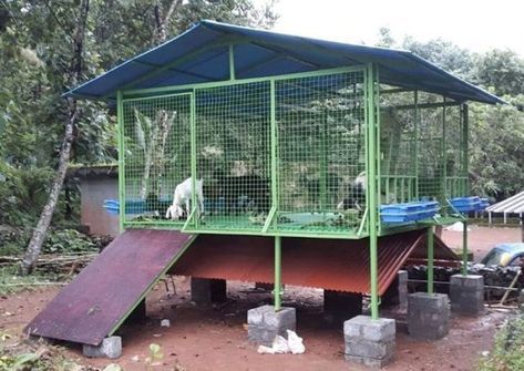 Goat shed Goat Cage Ideas, Goat Farming Ideas, Goat Shelters, Cow Shed Design, Shed Design Plans, Goat Shed, Goat Shelter, Farming Ideas, Goat House