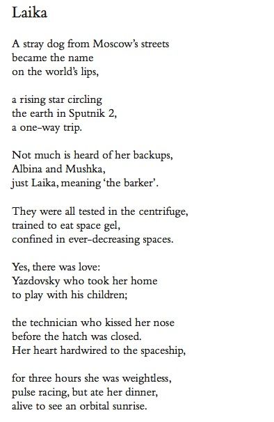 Friday Poem — ‘Laika’, Claire Williamson | Seren Books Blog Laika Tattoo, Laika Dog, Space Dogs, Dog Poetry, First Dog, Life Comics, Crimson Peak, Funny Feeling, Space Dog