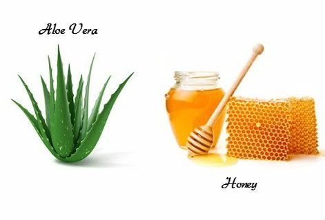 Homemade Balm, Aloe Vera Mask, Honey Shampoo, Aloe Vera Benefits, Aloe Vera For Skin, Aloe Vera Drink, Aloe Vera Face Mask, Honey Diy, Aloe Vera For Hair