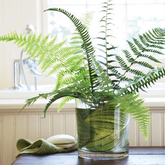 Think outside the flowers! A beautiful arrangement can be as simple and inexpensive as springtime fern leafs from our property. #goodhousekeeping #happyroom Winter Flower Arrangements, Succulent Centerpieces, Bathroom Plants, Fern Plant, Colorful Bouquet, Cylinder Vase, Winter Flowers, Unique Plants, Deco Floral