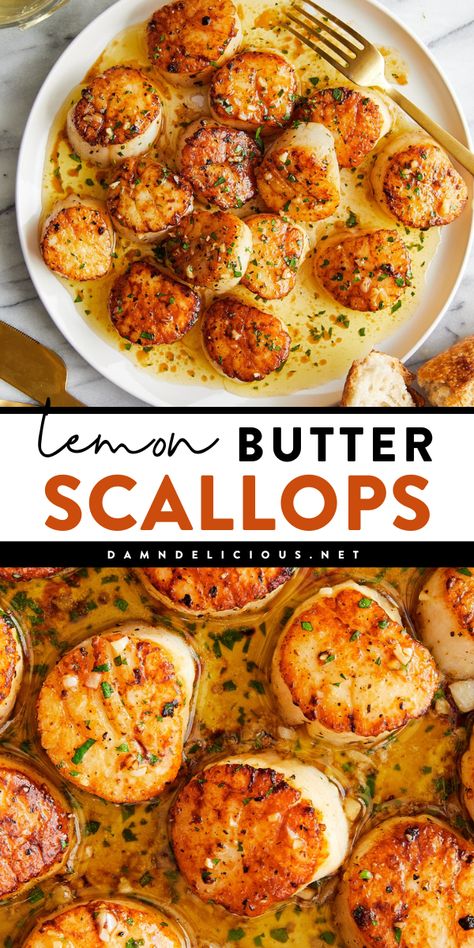 A main course recipe featuring lemon scallops! It's also an easy appetizer for a party. Cooked in a lemon butter sauce, these seared scallops are of restaurant quality! 5 ingredients are all you need! Scallops And Chicken Recipe, Grill Scallops Recipe, Chicken And Scallops Recipes, Best Dinners For The Lake, Scallop Recipes Seared, How To Cook Scallops On The Stove, Scallops Recipe Healthy, Scallop Pasta Recipes, Grilled Scallop Recipes