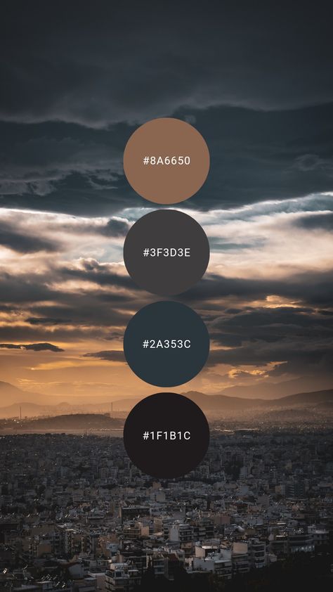 Navy Neutral Color Palette, Masculine Color Palette Hex Codes, Muted Moody Color Palette, Dark Luxury Color Palette, Masculine Painting Ideas, Charcoal Colour Palette, Masculine Colour Palette, Navy Blue Color Palette Colour Schemes, Dark Pallete