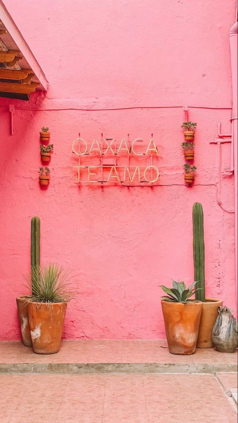 Oaxaca Quotes, Oaxaca Mexico Photography, Pink Mexican Aesthetic, Oaxaca Mexico Aesthetic, Oxacana Mexico, Oaxaca Design, Oxaca Mexico, Oaxaca Mexico Travel, Mexican Restaurant Decor