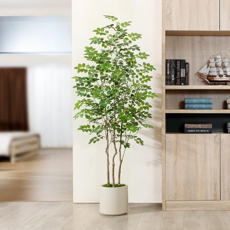 PRICES MAY VARY. 【Adjustable Branches & Leaves】Simply bend,separate,and fluff the branches and leaves to achieve desired tree shape and fullness.Our moringa plant boasts premium quality,constructed from long lasting,safe,and advanced materials that are perfect for family homes and pet-friendly environments. 【Artificial Tree with White Planter】This fake artificial moringa tree is staning at 6ft tall.And white imitation ceramic pot dimensions is 10.5"W x 10.5"H.Measurements are calculated from eac Faux Plants Living Room, Moringa Plant, Tall Fake Plants, Fake Moss, Moringa Tree, Indoor Tree, Apartment Plants, Fake Trees, Floor Plants