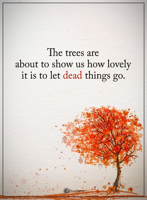 The trees are about to show us how lovely it is to let dead things go fall leaves quote. Tree Of Life Quotes, Leaf Quotes, Free Fall Printables, Wise Thoughts, Tree Quotes, Buddhist Practices, Daily Calendar, Fall Printables, Rumi Quotes