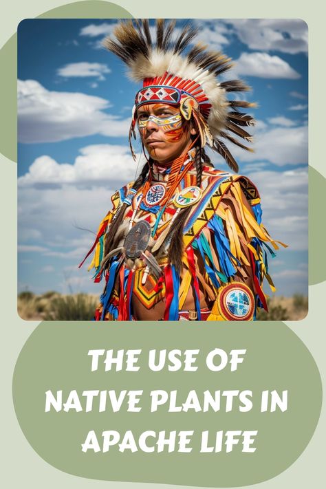 The Use of Native Plants in Apache Life Latest news from BlackHawk Visions: The Use... Native American Tribes Map, Indigenous Knowledge, Yucca Plant, Spiritual Beliefs, Native American Heritage, Indigenous Culture, Native American Tribes, Daily Practices, Native American Culture