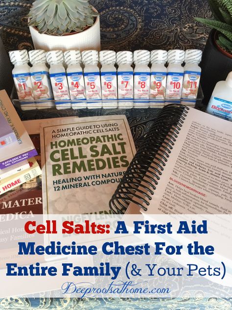 What Is Cell, Cell Salts, Tissue Salts, Nails Lips, Chest Ideas, Medicine Chest, Liver Support, Lungs Health, Homeopathic Medicine