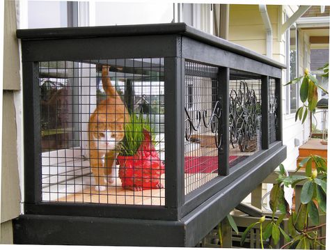 Diy Cat Enclosure, Katt Diy, Chat Diy, Cat Patio, Outdoor Cat Enclosure, Cat Run, Cat Cages, Cat Window, Cat Enclosure