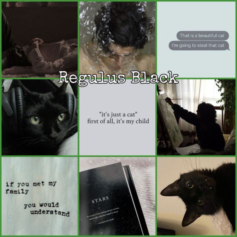 Regulus black aesthetic Regulus Black Hair, Regulus Black Aesthetic Outfits, Regulus Black X Y/n, Regulus Black Outfit, Regulus Kinnie, Trans Regulus Black, Slytherclaw Aesthetic, Black Inspired Outfits, Harry Potter Art Fanart