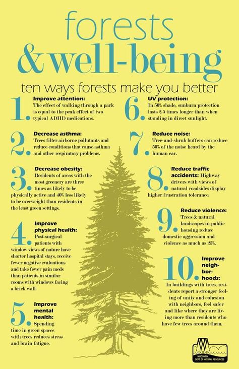 River Rock Adventures on Twitter: "10 Ways the forest can make you better 🚨 #riverrockadv #forest #weekendvibes… " Shinrin Yoku, Nature School, Forest Bathing, Healthy Garden, Forest School, Outdoor Learning, Quality Of Life, Nature Quotes, Natural Resources