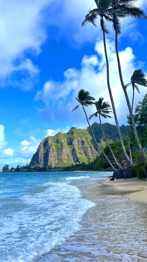 visit.hawaii on Instagram: 🌈 Would you like to swim in the crystal clear waters of Hawaii? 🥰🏝🍍💚🌊🐚✨ ➖➖➖➖➖➖➖➖➖➖➖➖➖ ➢ Follow » @Visit.Hawaii ➖➖➖➖➖➖➖➖➖➖➖➖➖ ➢ Follow »… Beautiful Places In Hawaii, Honaloulou Hawaii, Pictures On Wall, Hawaii Water, Hawaii Instagram, Hawaiian Cruises, Art For Walls, Hawaii Things To Do, Hawaii Pictures