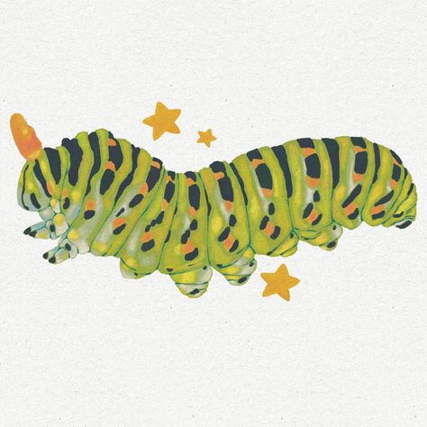 Chunky Caterpillar 🐛 #caterpillar #bugart #bugillustration #cutebugs #bugs #natureart #natureillustration #illustrators #illustratorsoninstagram #illustragram #artistsoninstagram Cattipillars Drawing, Random Shapes Drawing, Types Of Patterns Design, Pillbug Drawing, Cicada Art Illustration, Bugs Sketchbook, Pattern Art Ideas, Cool Bugs Insects, Bug Perspective