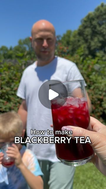 Salty Acres on Instagram: "How to make BLACKBERRY TEA with all those berries from our plants!   #tea #blackberry #berries #gardening #howto  #berry #blackberries #fruit #garden #gardens #homestead #drink #nc" Jello Punch, Homesteading Food, Blackberry Tea, Flavored Ice, Party Punch Recipes, Flavored Coffee, Refreshing Summer Drinks, Flavor Ice, Party Punch