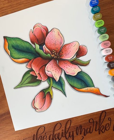 Flower Drawing Marker, Drawing Ideas Markers, Floral Design Drawing, Art Markers Drawing, Markers Drawing Ideas, Copic Marker Art, Copic Art, Beautiful Illustration, Sketch Markers