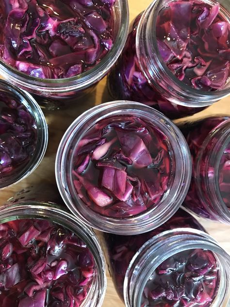 Online Canning Recipes | The Canning Diva Pickling Cabbage, Cabbage Canning, Canning Diva, Purple Cabbage Recipes, Spiced Red Cabbage, Red Cabbage Sauerkraut, German Red Cabbage, Homestead Food, Canning Gifts