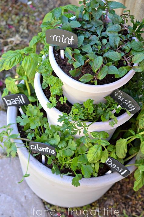 Apartment Patio Gardens, Small Herb Gardens, Small Patio Decor, Garden Patio Decor, Herb Garden Design, Budget Patio, Indoor Herb Garden, Herbs Indoors, Olive Garden