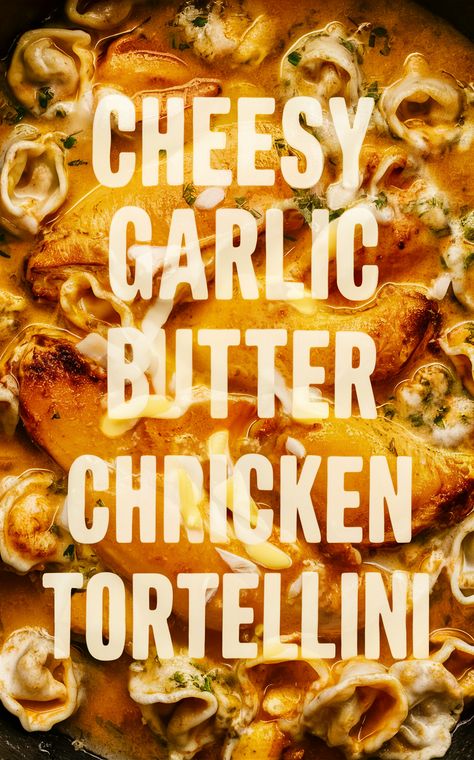 RECIPE , easy recipe , Fall ,
Decor Neutral Fall ,food Fall ,recipe Inspiration ,Fall recipe Chicken And Cheese Tortellini Recipes, Creamy Tortellini, Creamy White Chicken Chili, Recipe App, Chicken Tortellini, Tortellini Recipes, Chicken Taco Recipes, Cheesy Mashed Potatoes, Savory Cheese