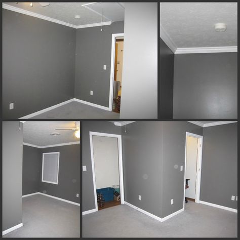 office wall color -- love this grey! White Walls Grey Carpet, Bedroom White Walls, Grey Colour Scheme Bedroom, Grey Bedroom Colors, Grey Bedroom Paint, Light Gray Bedroom, Gray Bedroom Walls, Grey Wall Color, Grey Walls Living Room