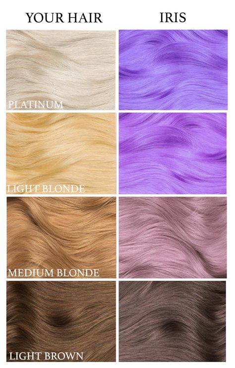 Pastel Lavender Hair, Lavender Hair Dye, Purple Hair Dye, Lavender Hair Colors, Iris Purple, Dyed Hair Purple, Pastel Lavender, Lavender Hair, Medium Blonde